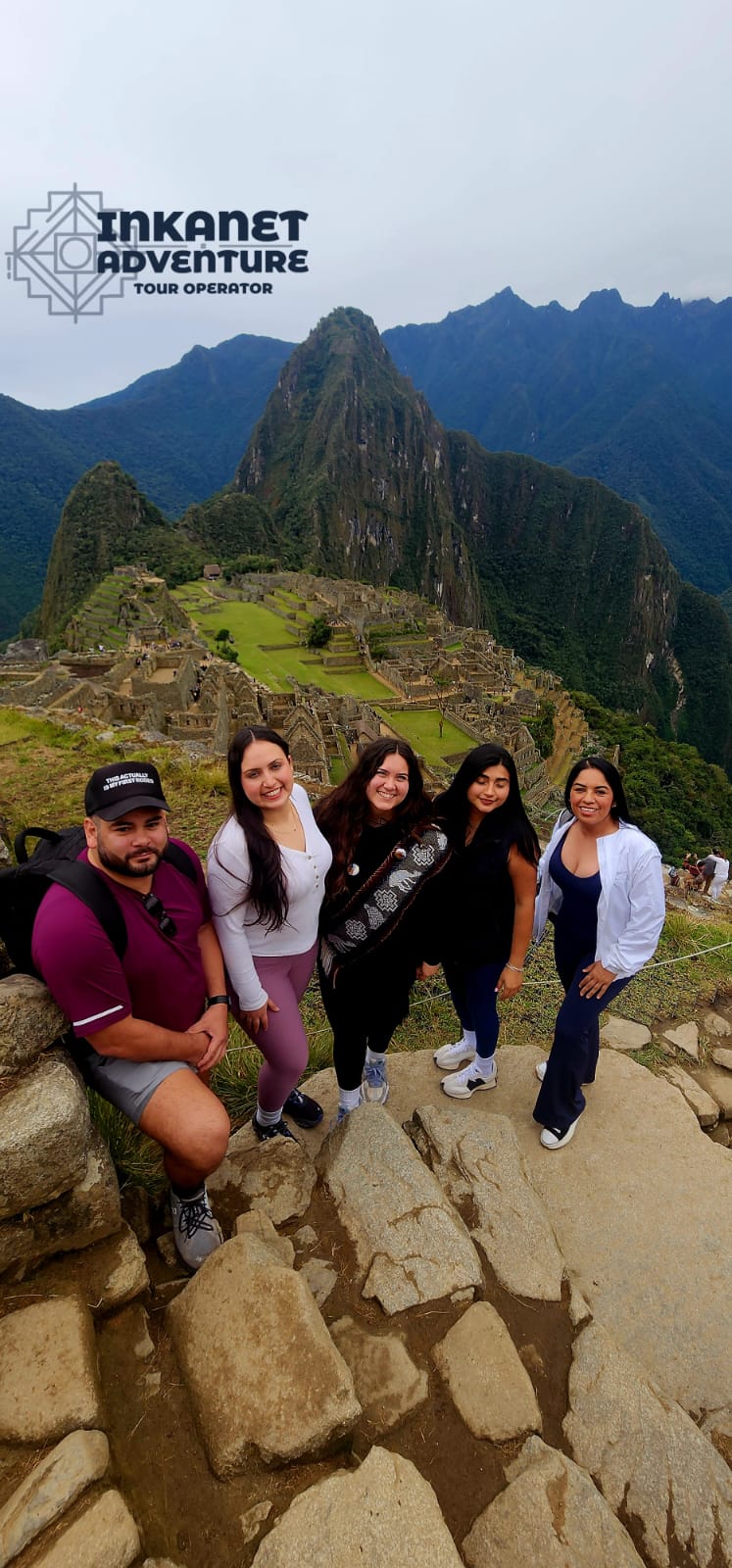 Stunning view of MachuPicchu with llamas grazing on the lush grass.