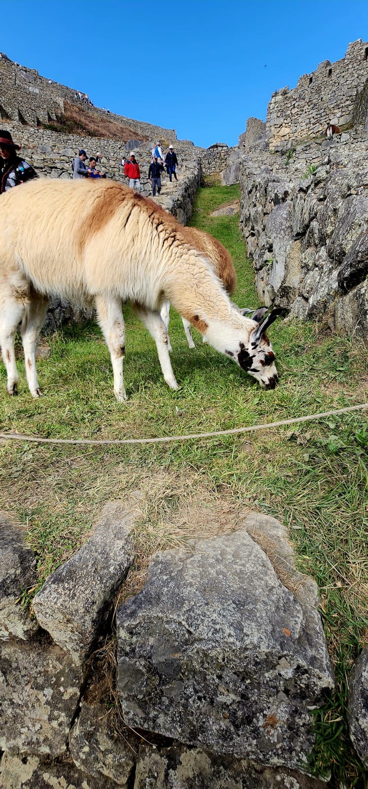 Day 3: Inka city of Machupicchu